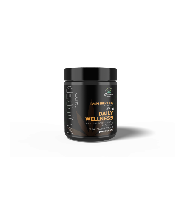 DAILY WELLNESS 25MG CBD GUMMIES, 60 CT
