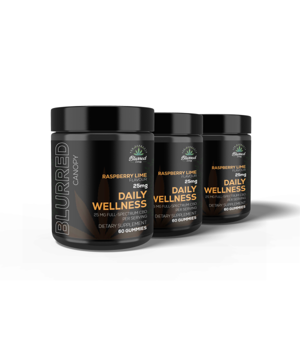 CBD GUMMIES: 25MG DAILY WELLNESS 60 CT 3-PACK