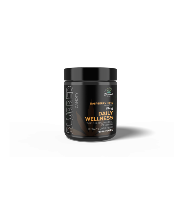 DAILY WELLNESS 15 MG CBD GUMMIES, 60 CT