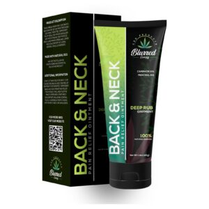 BACK AND NECK PAIN RELIEF OINTMENT