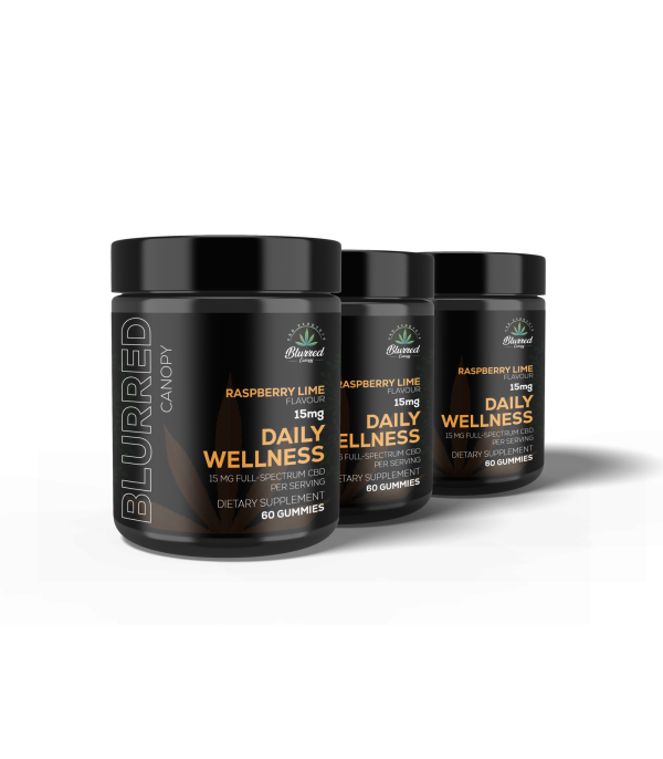CBD GUMMIES: 15MG DAILY WELLNESS 60 CT 3-PACK